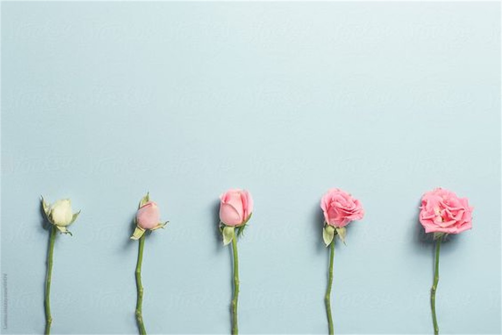 f:id:s2smile:20211205134707j:image f:id:s2smile:20211205134707j:image