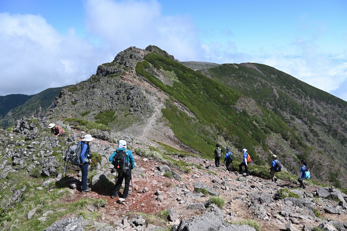 2023/6/25 南八ヶ岳で高山植物を楽しむ（硫黄岳・横岳・赤岳・阿弥陀岳