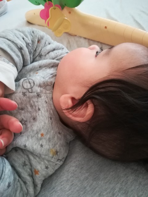 本を食べるの大好きクラブ