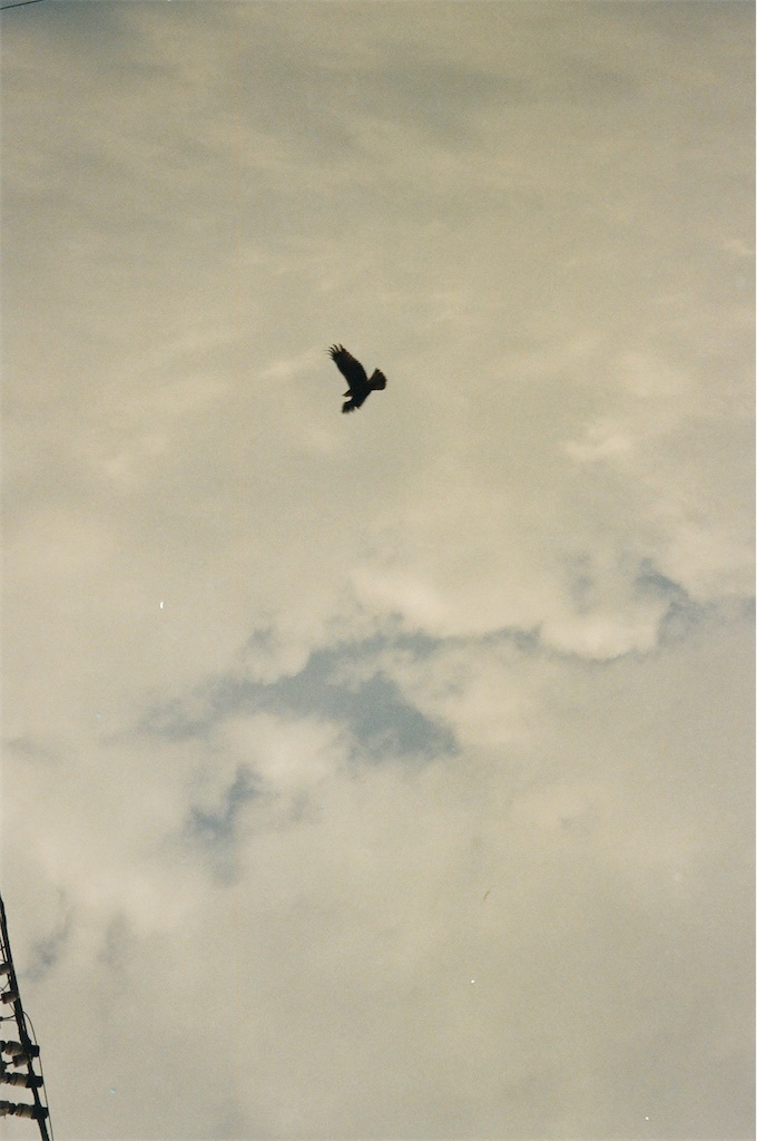 f:id:s396man:20230127112459j:image f:id:s396man:20230127112459j:image