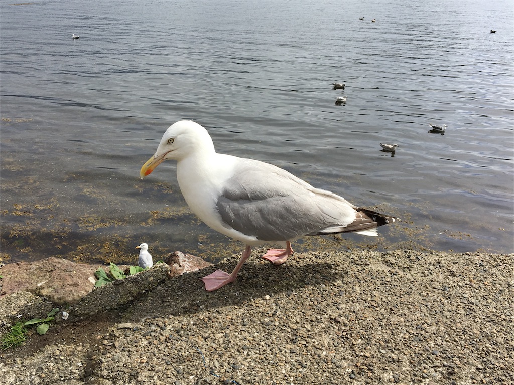 f:id:s4600:20180810044019j:image f:id:s4600:20180810044019j:image