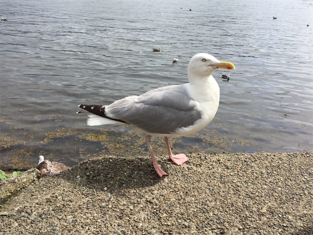 f:id:s4600:20180810161535j:image f:id:s4600:20180810161535j:image
