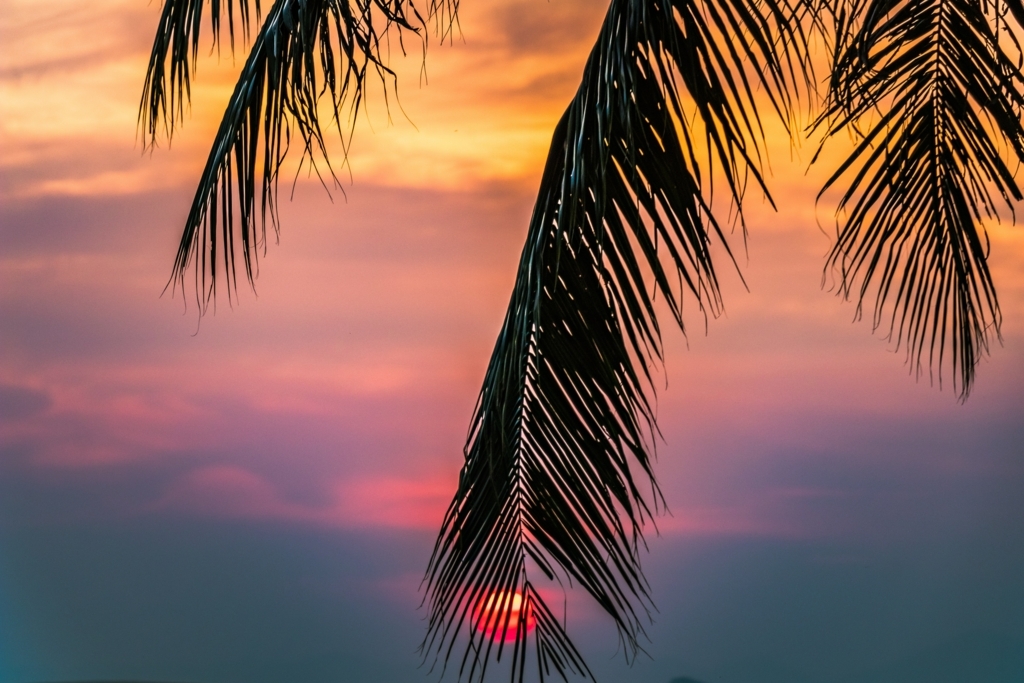f:id:s47a191w:20180603123051j:plain