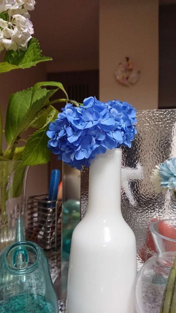 f:id:s51517765:20180529222809j:plain f:id:s51517765:20180529222809j:plain