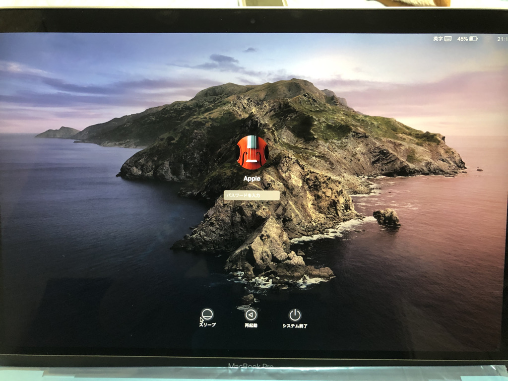 f:id:s535032c:20211003234535j:plain