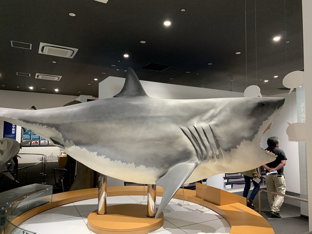 f:id:s56530:20190629014707j:plain f:id:s56530:20190629014707j:plain