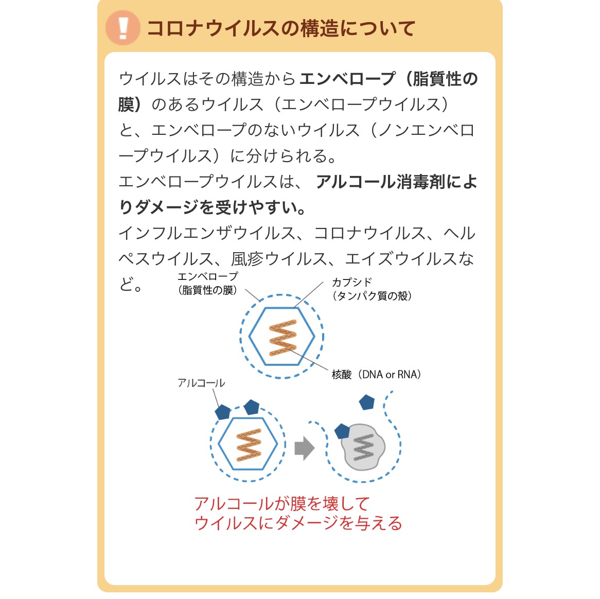 f:id:s56530:20200217184843j:plain f:id:s56530:20200217184843j:plain