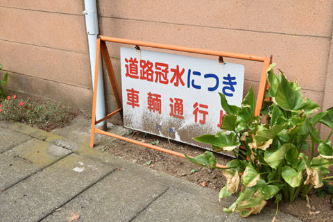 f:id:s56530:20200304180350j:plain f:id:s56530:20200304180350j:plain