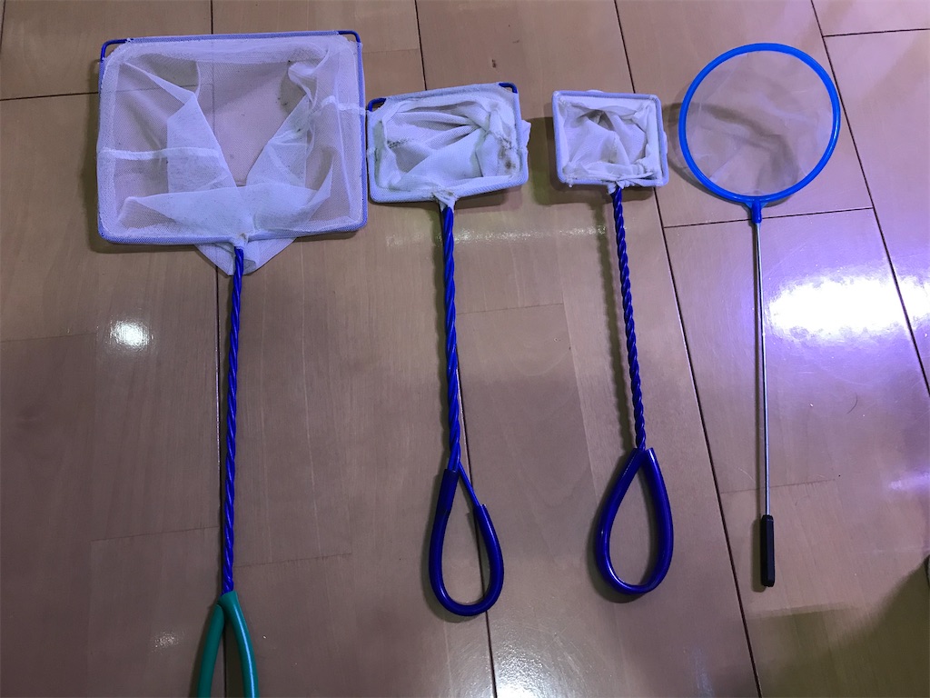 f:id:s6medaka:20191224204028j:image