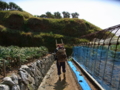 f:id:s9sazae:20140407101852j:image:medium