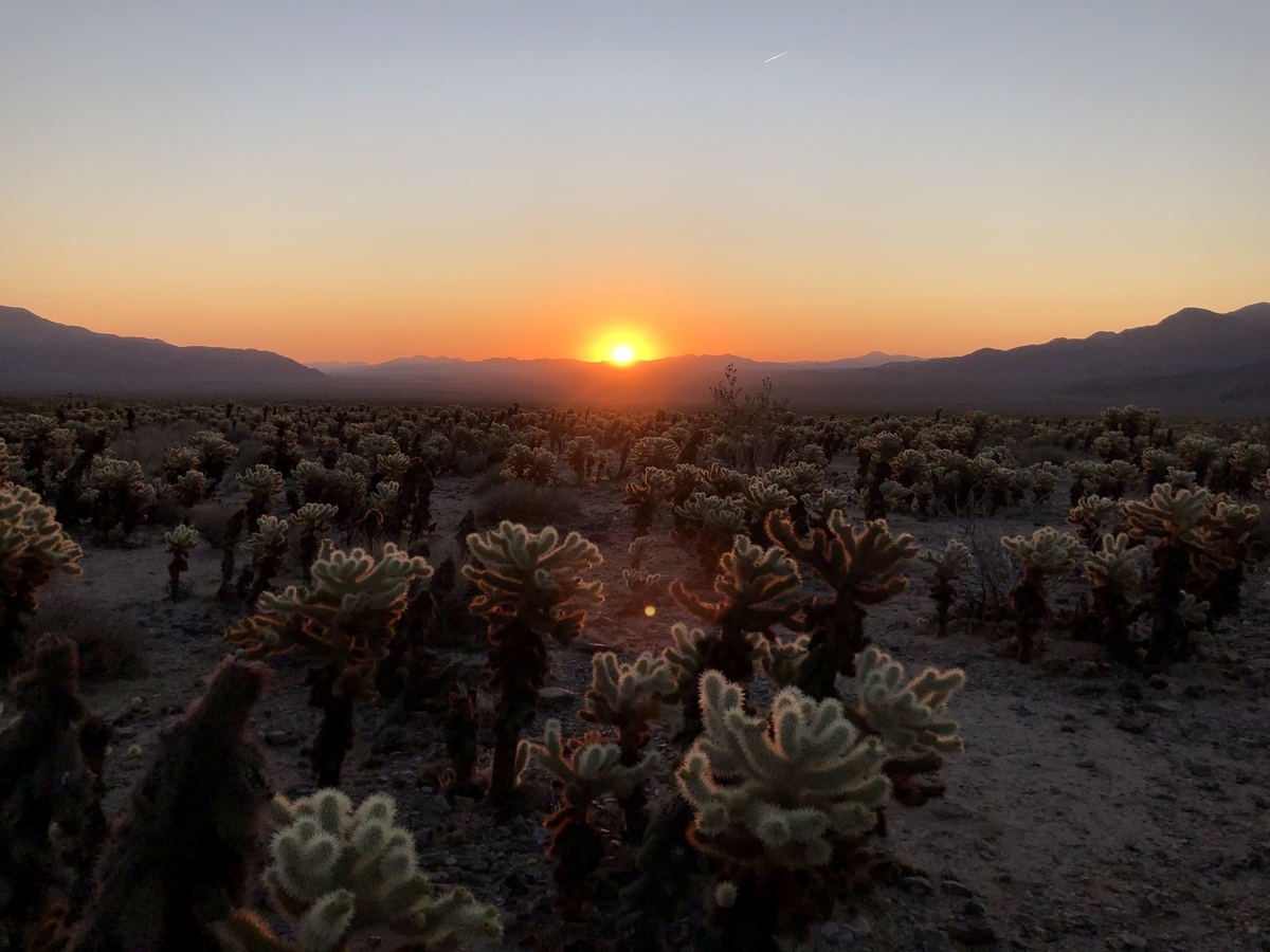 f:id:sHeRrYl0ve:20200716150147j:plain