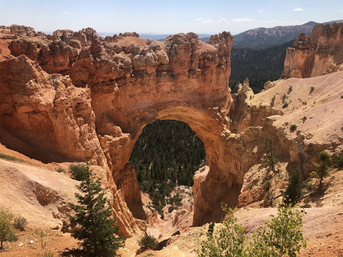 f:id:sHeRrYl0ve:20200916140606j:plain