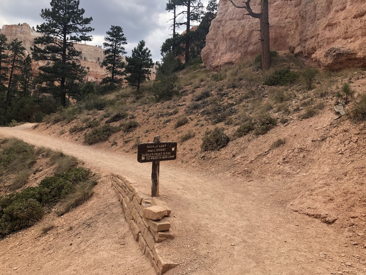 f:id:sHeRrYl0ve:20200916141525j:plain