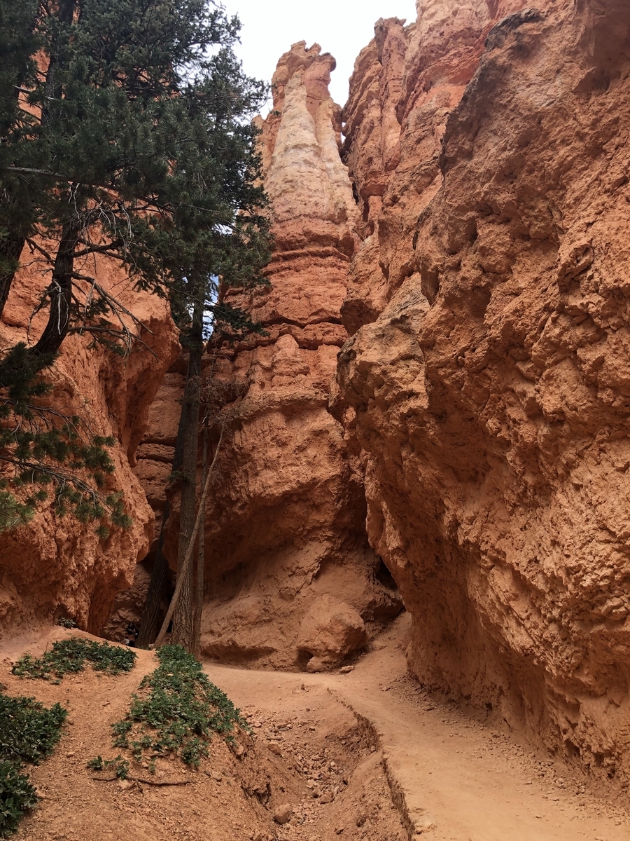 f:id:sHeRrYl0ve:20200916230908j:plain