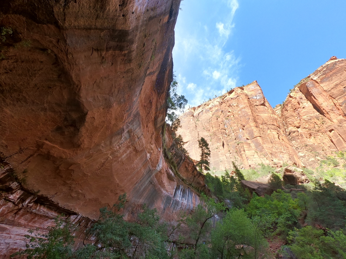 f:id:sHeRrYl0ve:20200922041257j:plain