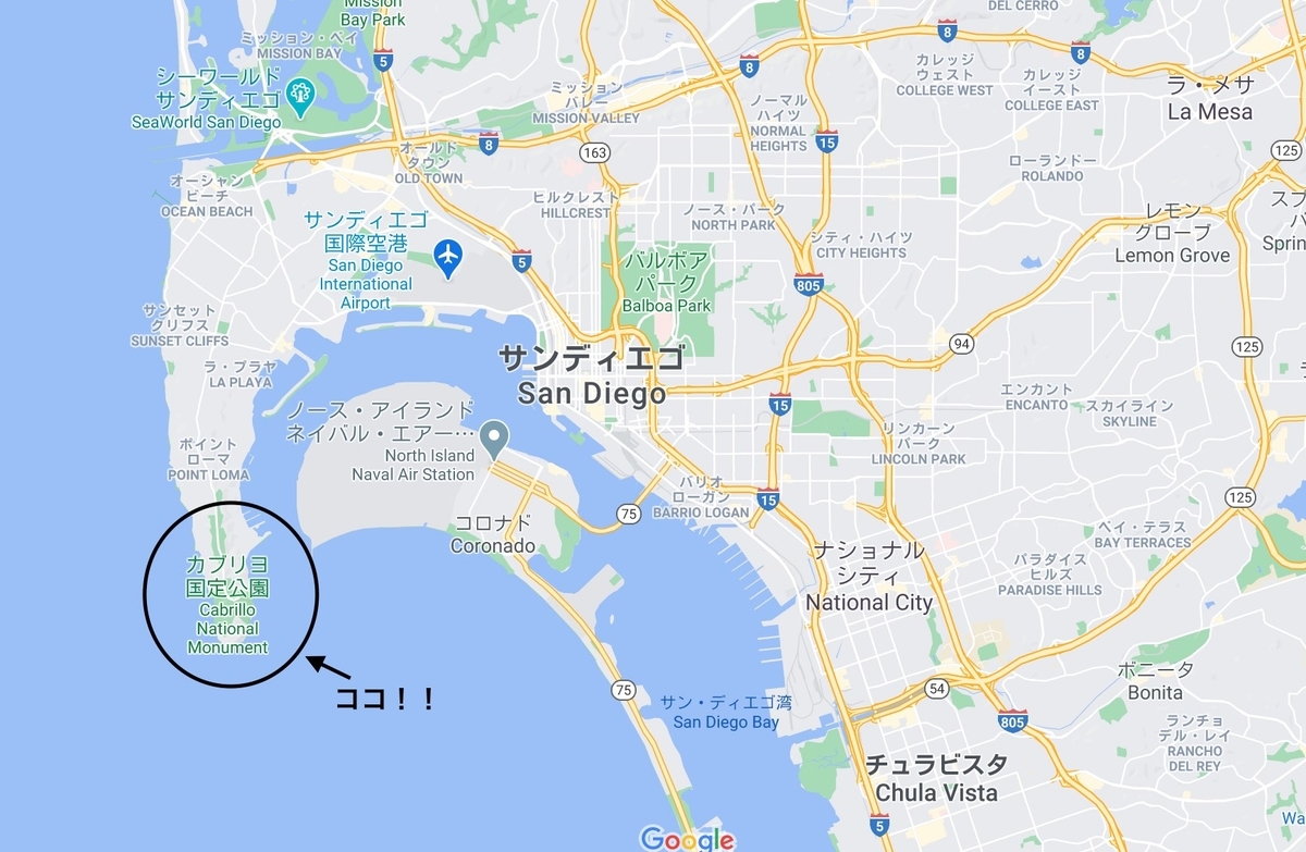 f:id:sHeRrYl0ve:20210113093004j:plain