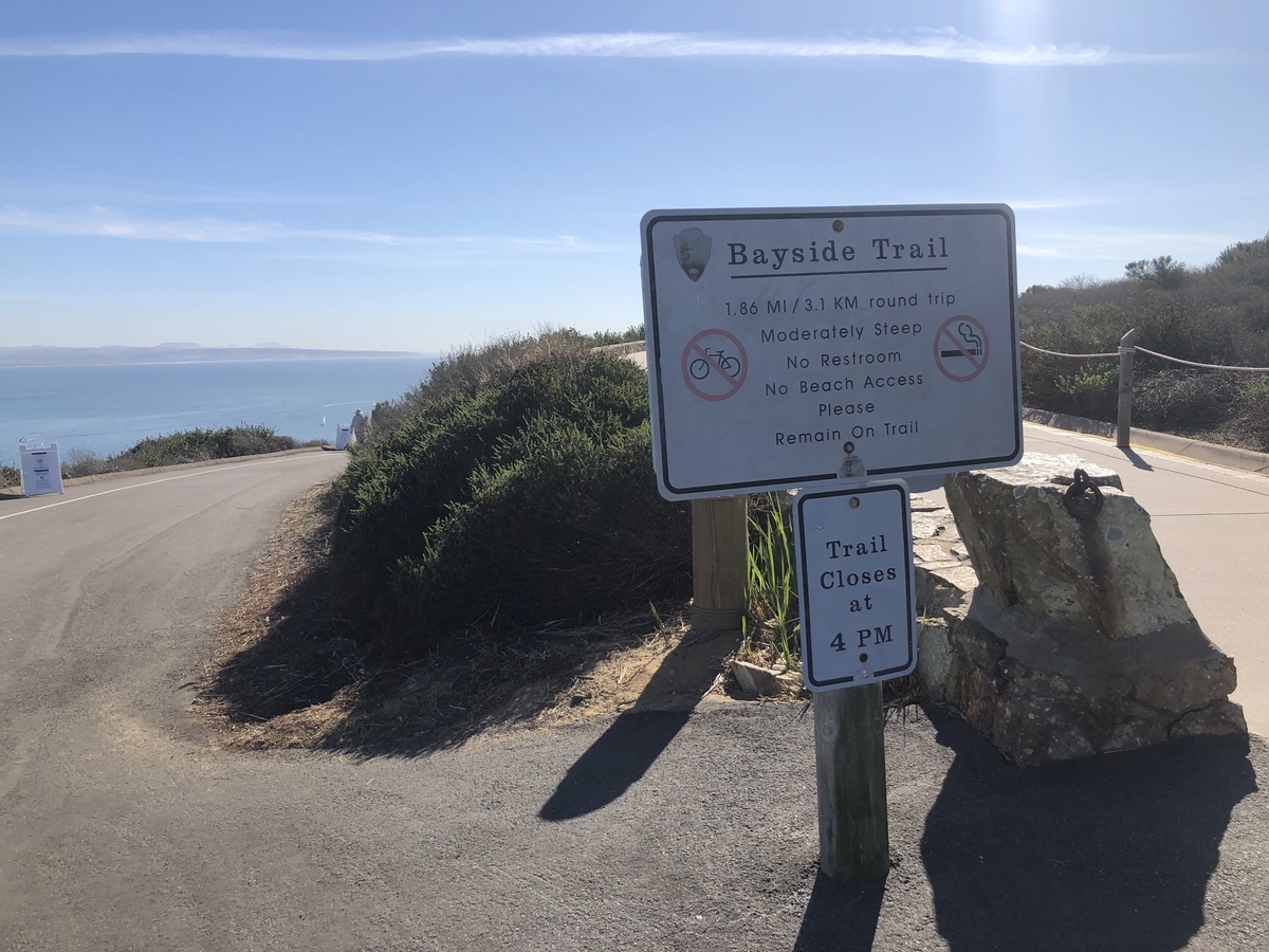 f:id:sHeRrYl0ve:20210114025658j:plain