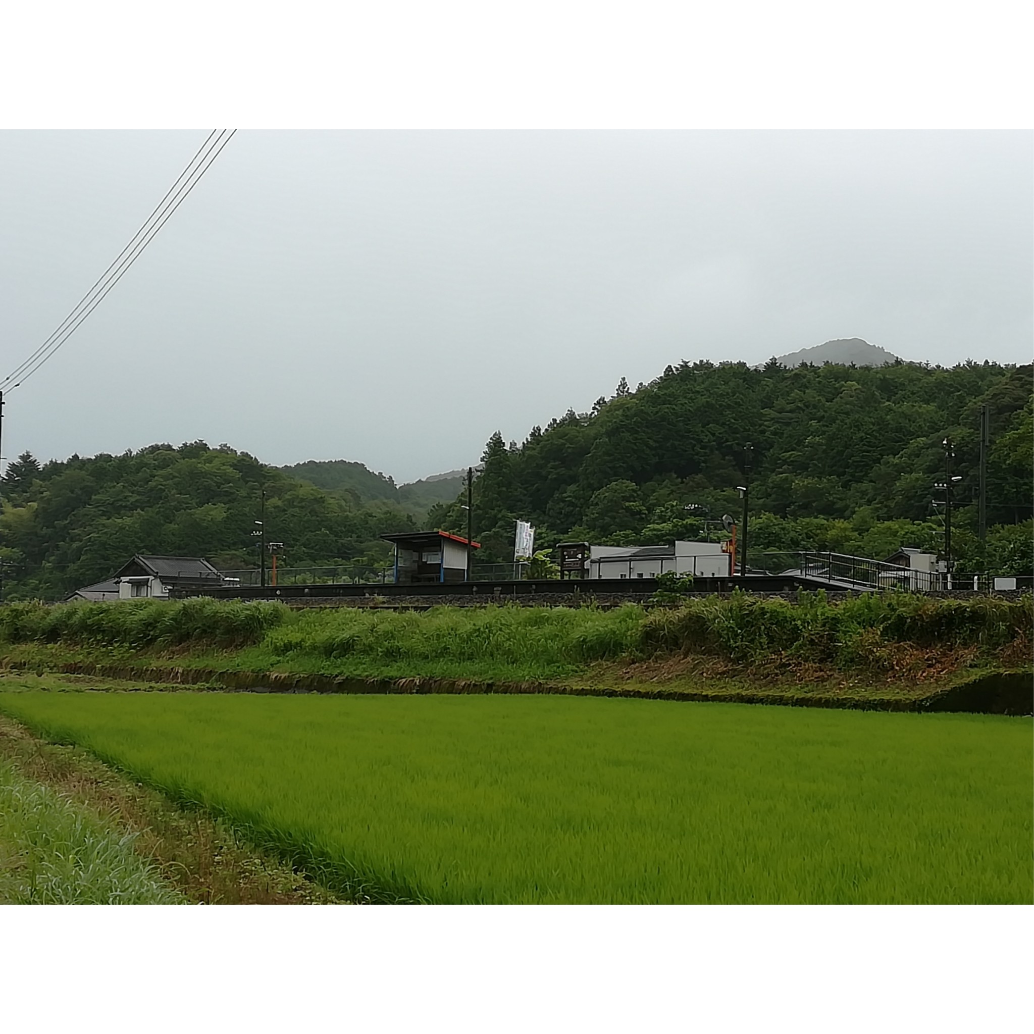 f:id:sMasa:20190202182441j:image