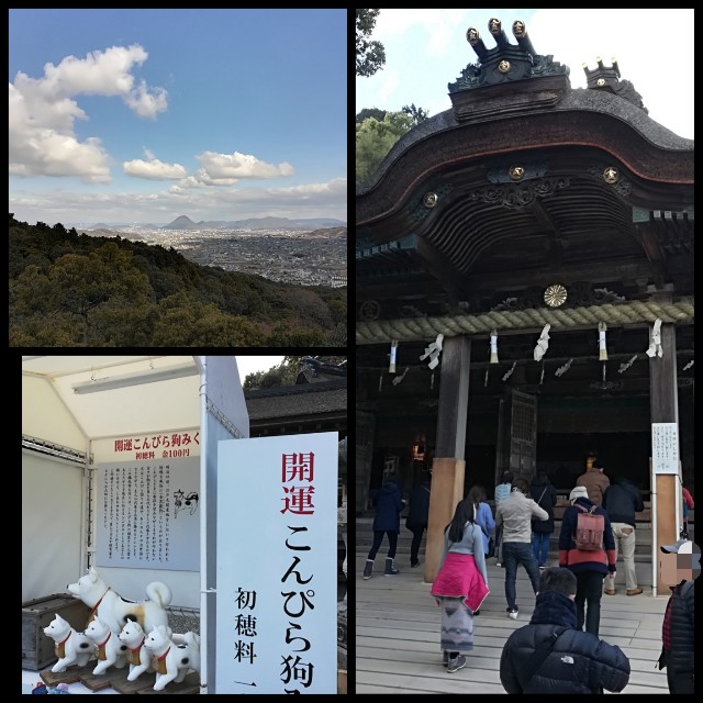 f:id:sMasa:20190203004930j:image