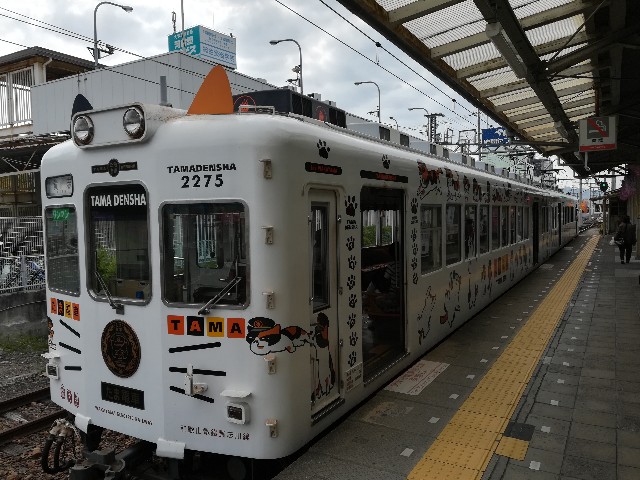 f:id:sMasa:20190209153655j:image f:id:sMasa:20190209153655j:image