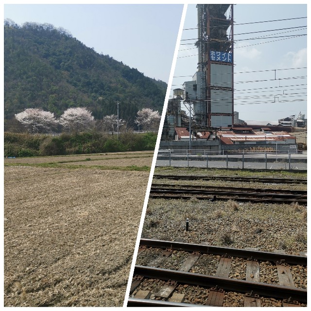 f:id:sMasa:20190409225759j:image