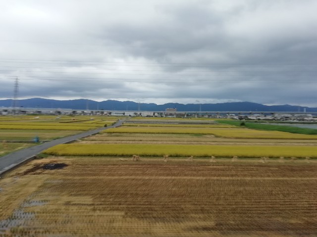 f:id:sMasa:20191019153507j:image