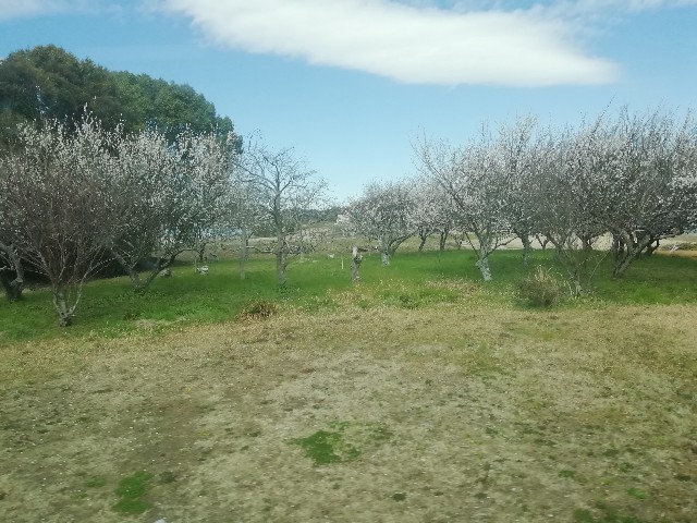 f:id:sMasa:20200305232756j:image