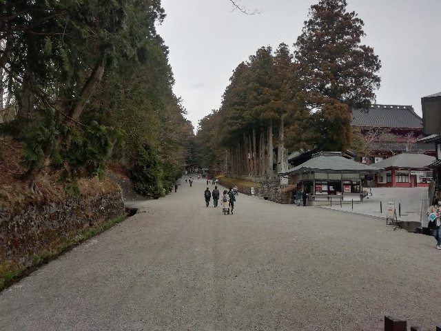 f:id:sMasa:20200329151228j:image