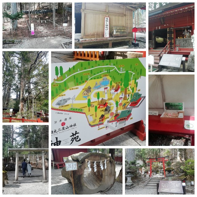 f:id:sMasa:20200329182805j:image