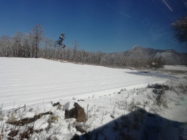 f:id:sMasa:20200412011118j:image f:id:sMasa:20200412011118j:image