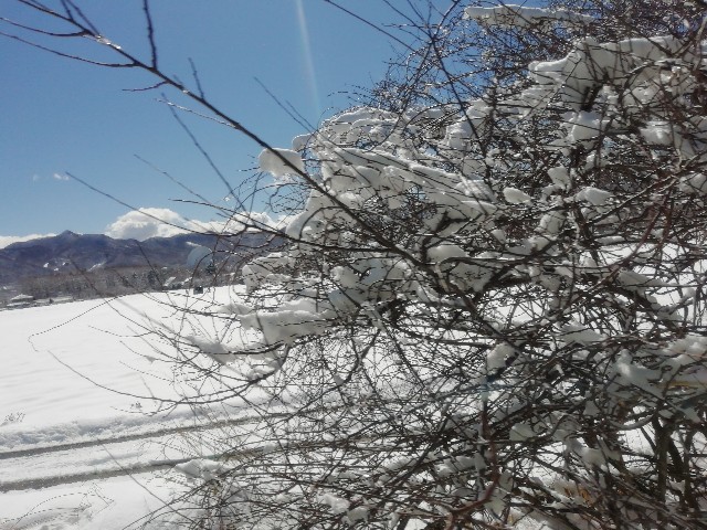 f:id:sMasa:20200412011250j:image f:id:sMasa:20200412011250j:image