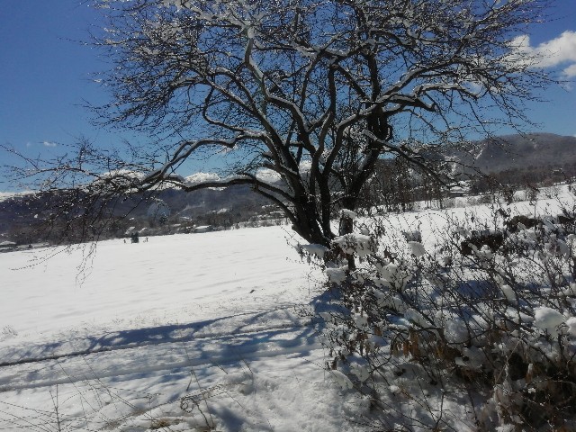 f:id:sMasa:20200413181557j:image f:id:sMasa:20200413181557j:image