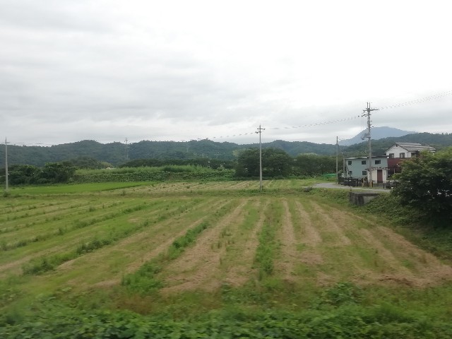 f:id:sMasa:20200726230741j:image