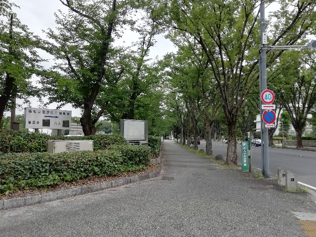 f:id:sMasa:20200727002346j:image