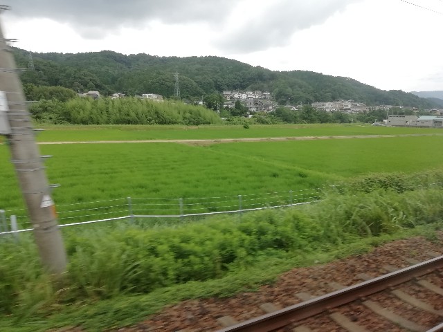 f:id:sMasa:20200801162218j:image