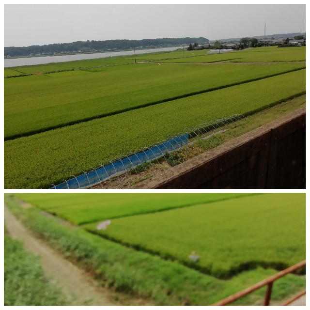 f:id:sMasa:20200818143016j:image f:id:sMasa:20200818143016j:image