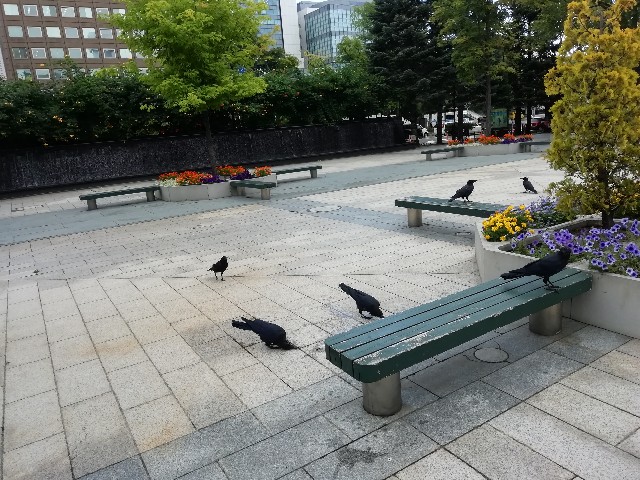 f:id:sMasa:20200910205432j:image
