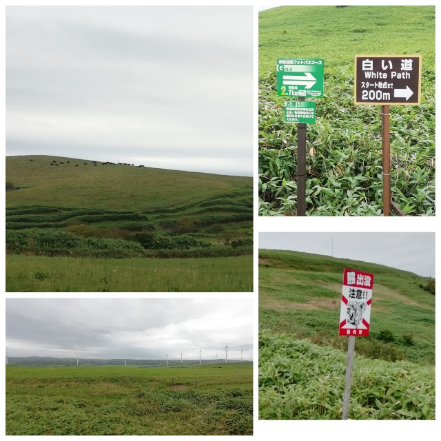 f:id:sMasa:20200910235724j:image f:id:sMasa:20200910235724j:image