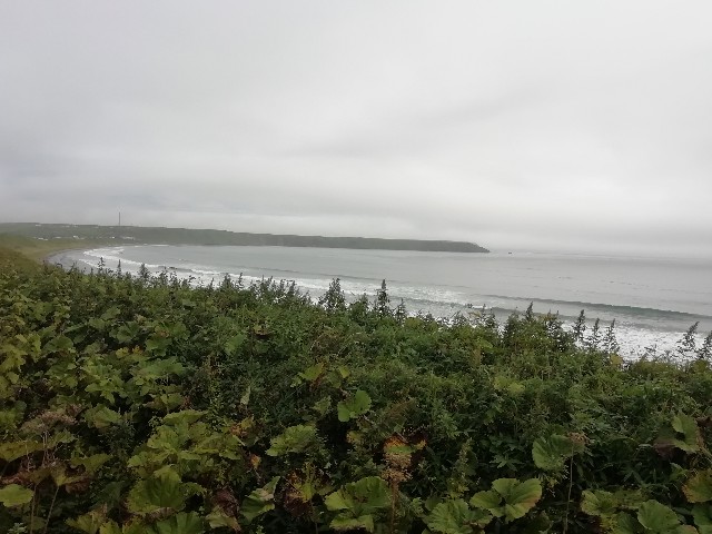 f:id:sMasa:20200919155909j:image