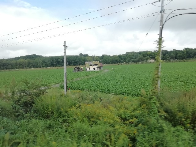 f:id:sMasa:20200926180321j:image