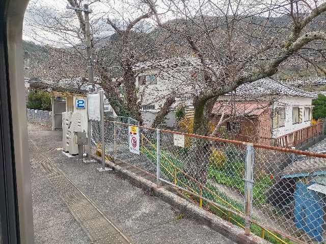 f:id:sMasa:20210101190137j:image f:id:sMasa:20210101190137j:image