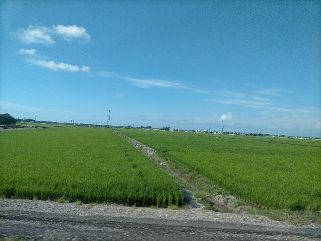 f:id:sMasa:20210728142008j:image f:id:sMasa:20210728142008j:image