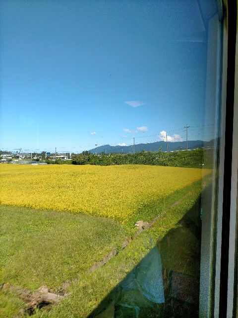 f:id:sMasa:20210903094712j:image