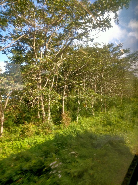 f:id:sMasa:20210919180345j:image f:id:sMasa:20210919180345j:image