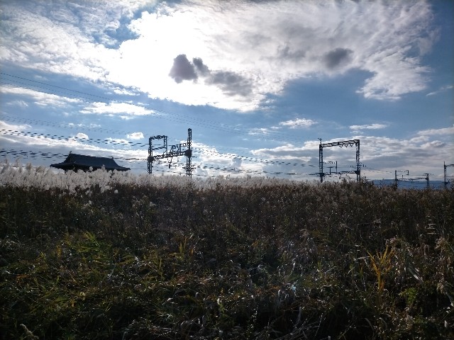 f:id:sMasa:20211114012310j:image f:id:sMasa:20211114012310j:image