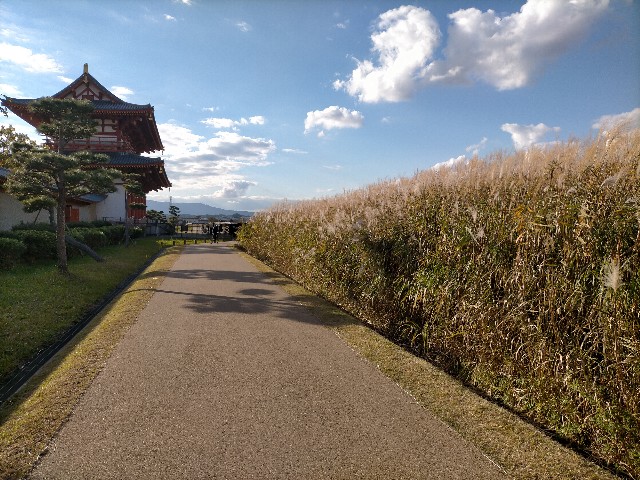 f:id:sMasa:20211114012343j:image f:id:sMasa:20211114012343j:image