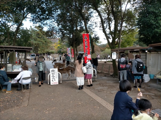 f:id:sMasa:20211114013552j:image f:id:sMasa:20211114013552j:image