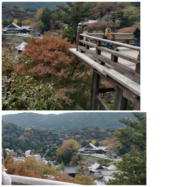 f:id:sMasa:20211114131342j:image f:id:sMasa:20211114131342j:image