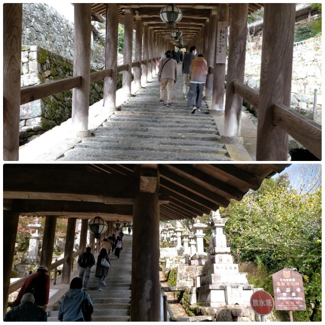 f:id:sMasa:20211114144941j:image f:id:sMasa:20211114144941j:image