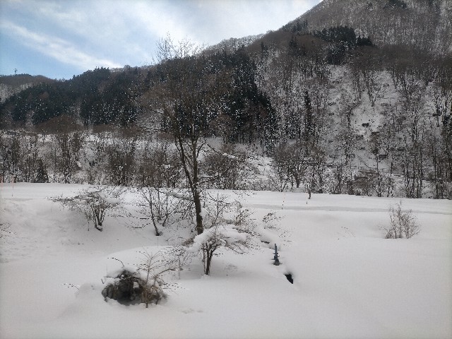 f:id:sMasa:20220109102129j:image